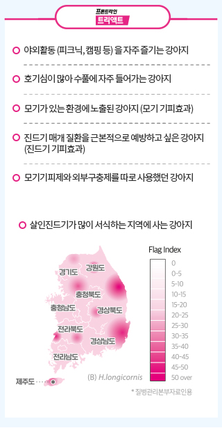 프론트라인찾기_MO2