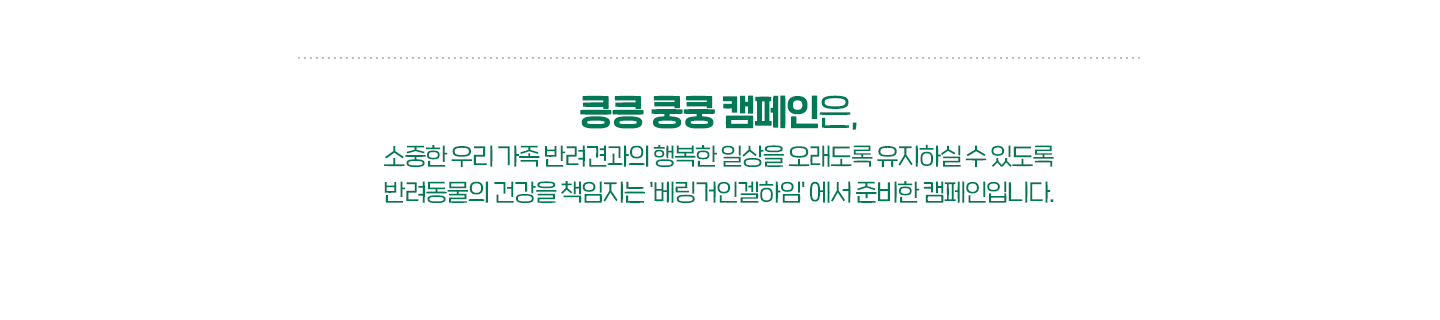 01_킁킁쿵쿵캠페인_PC_03_v2.png